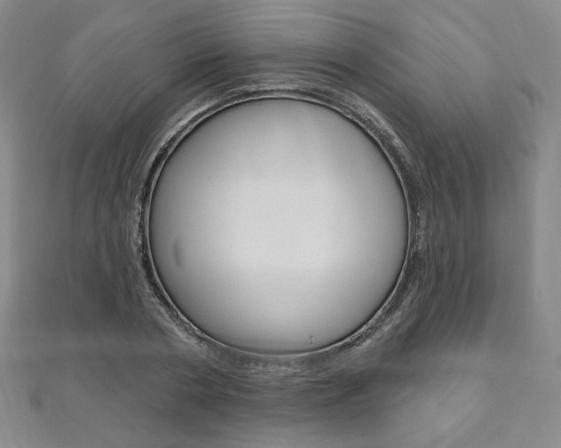 X0000110880786200906180944