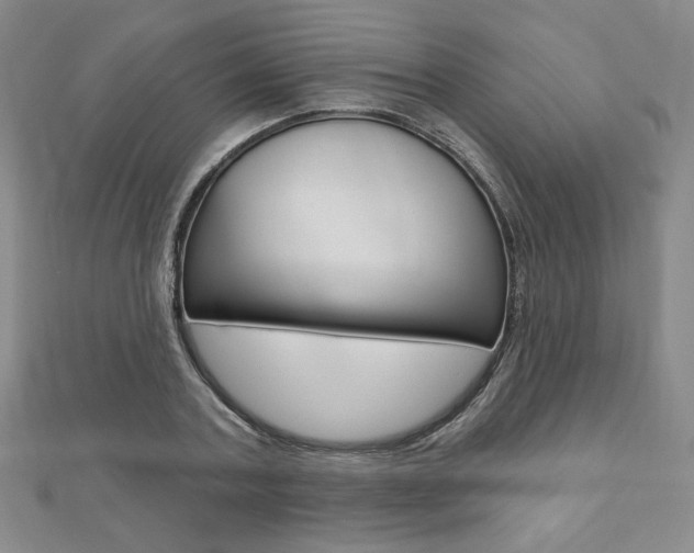 X0000110880787200906180944