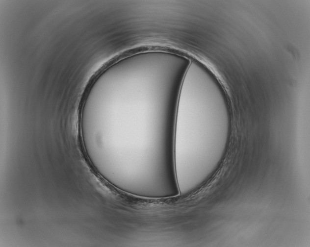 X0000110880791200906180944