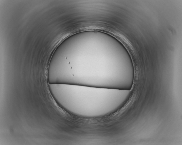 X0000110880793200906180944