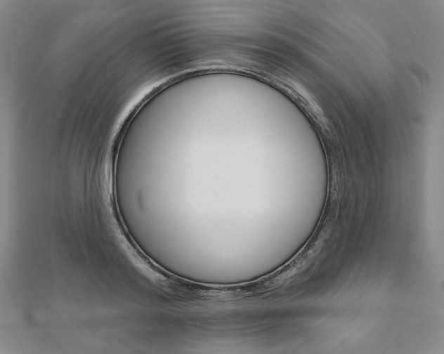 X0000110880796200906180944