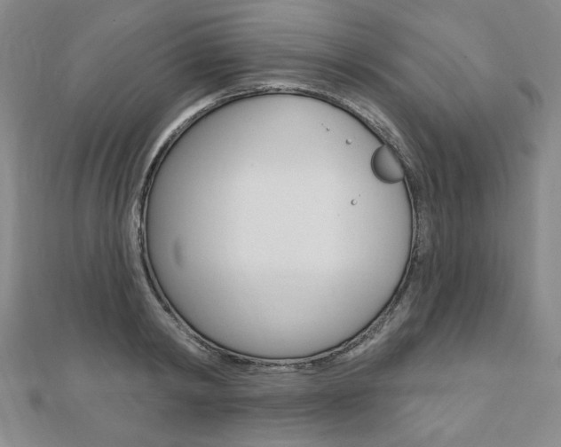 X0000110880798200906180944