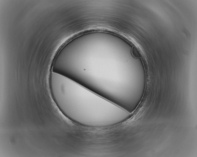 X0000110880799200906180944