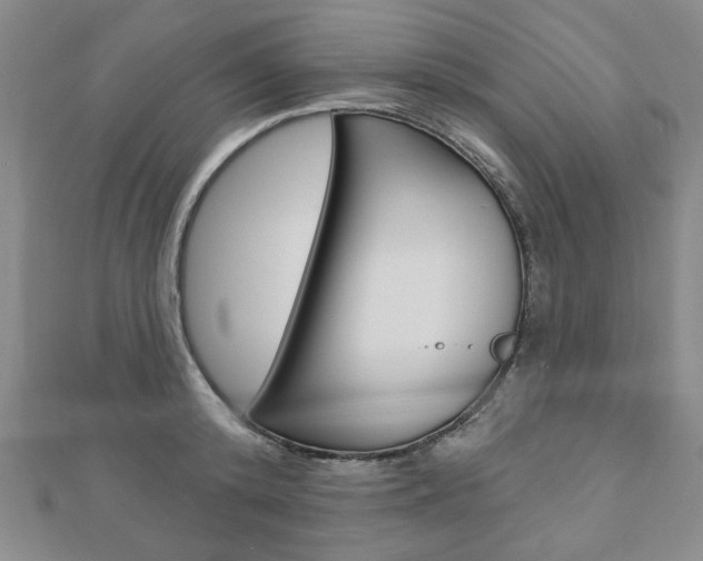 X0000110880800200906180944