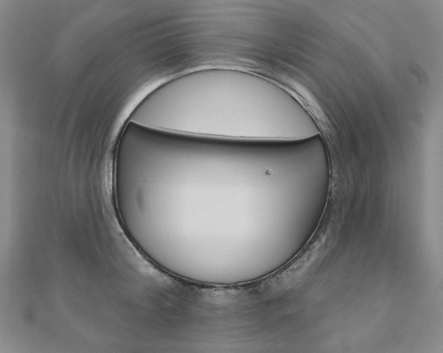 X0000110880804200906180944