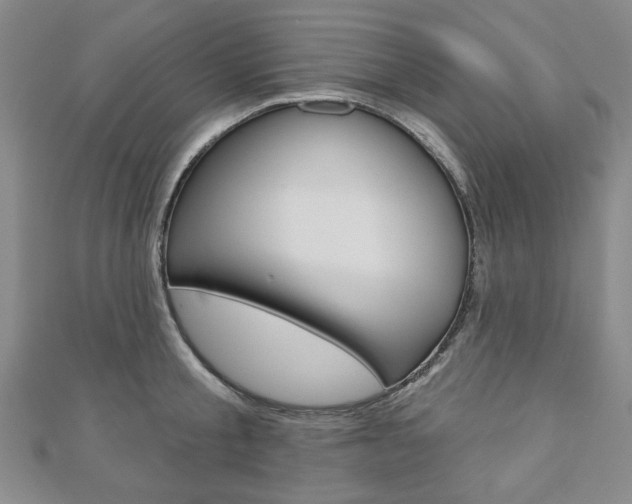 X0000110880805200906180944
