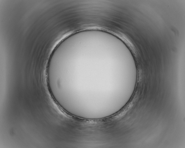 X0000110880806200906180944