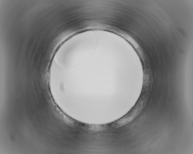 X0000110880807200906180944
