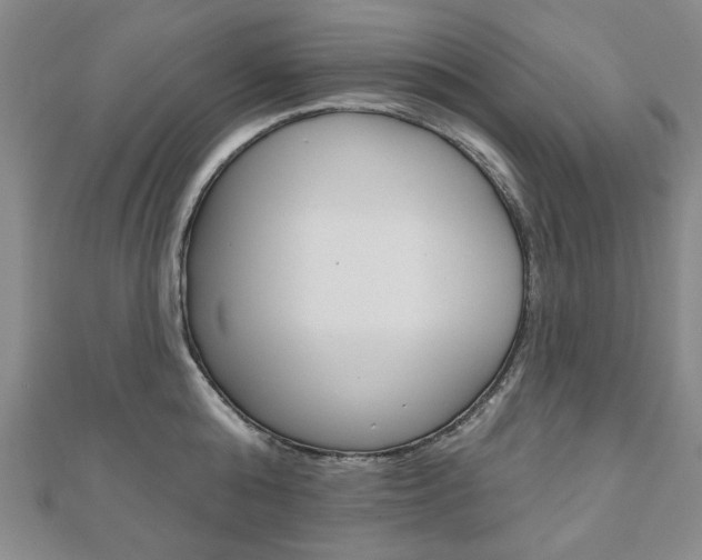 X0000110880808200906180944