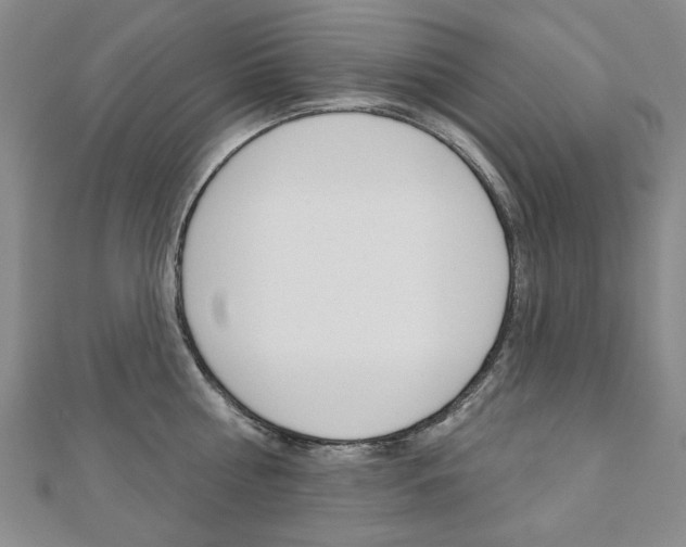 X0000110880810200906180944