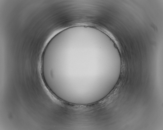 X0000110880811200906180944
