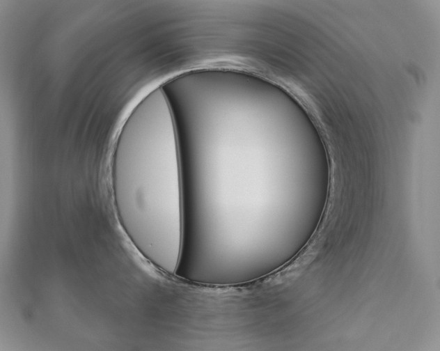 X0000110880816200906180944