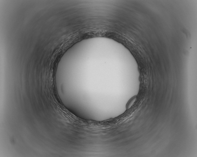 X0000110880818200906180943
