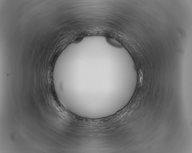 X0000110880819200906180943