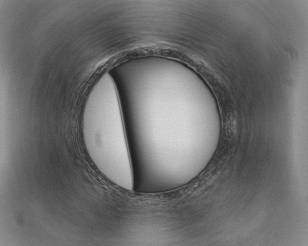 X0000110880822200906180943