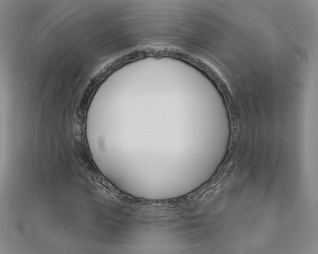 X0000110880823200906180943