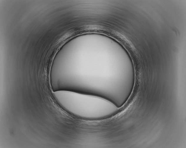 X0000110880825200906180943