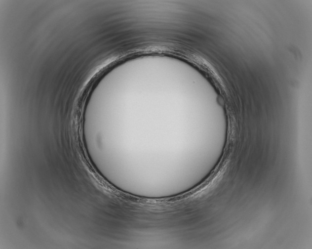 X0000110880827200906180943
