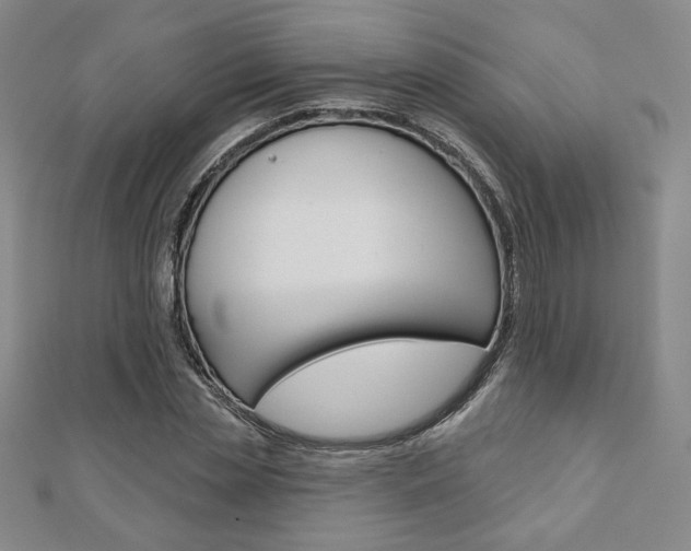 X0000110880829200906180943