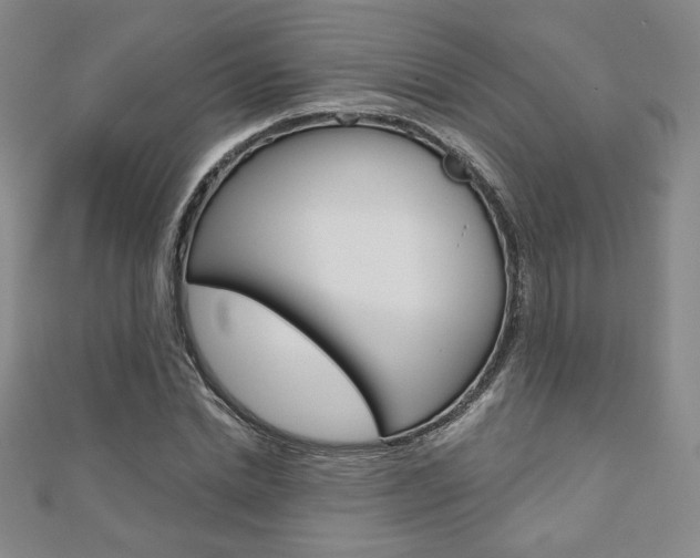X0000110880830200906180943