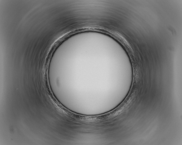 X0000110880831200906180943