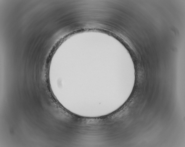 X0000110880832200906180943