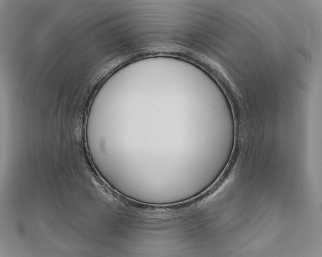 X0000110880833200906180943