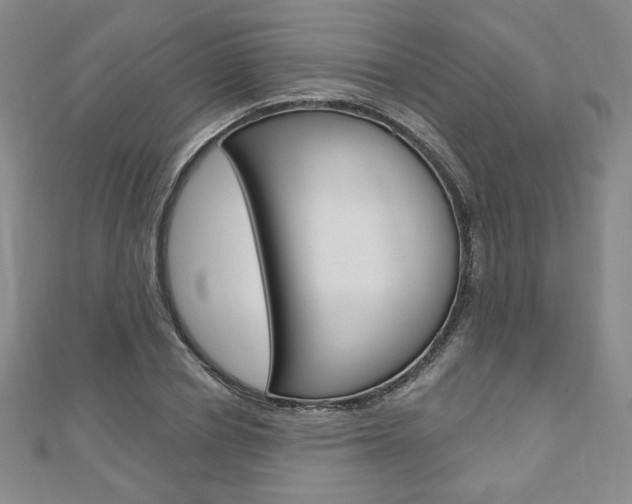 X0000110880834200906180943