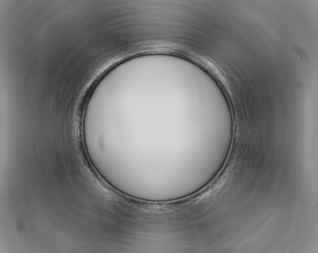 X0000110880835200906180943