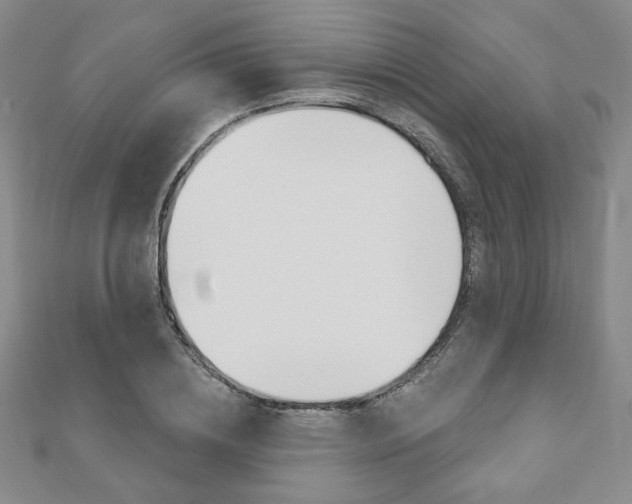 X0000110880836200906180943