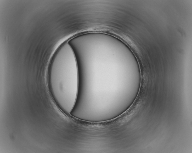 X0000110880838200906180943