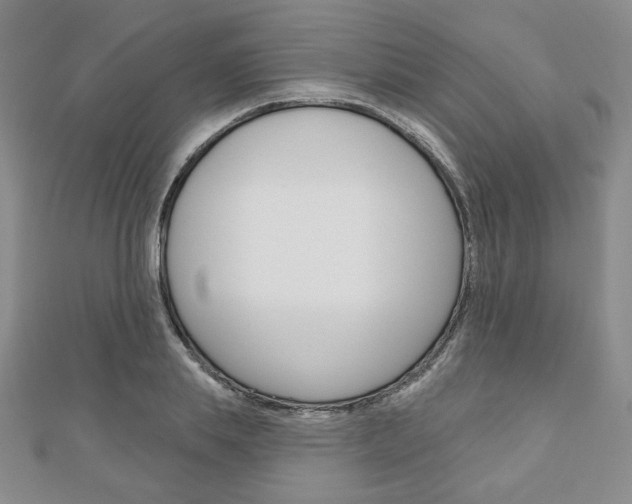 X0000110880839200906180943