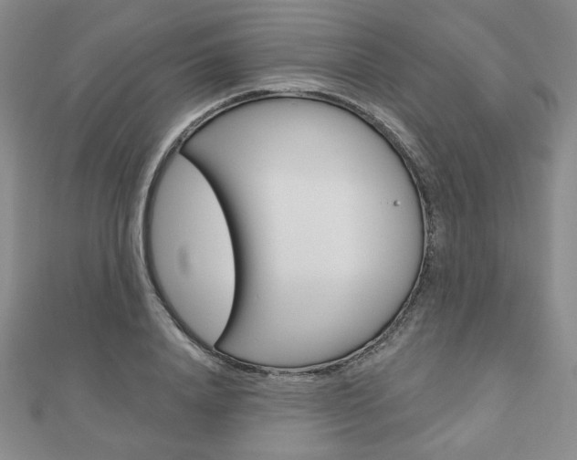 X0000110880840200906180943