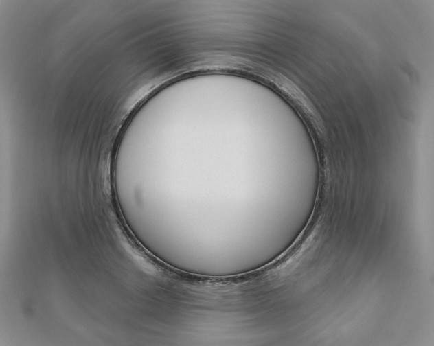 X0000110880842200906180943