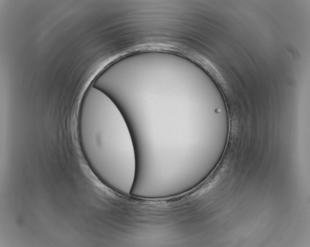 X0000110880844200906180943