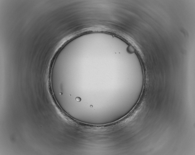 X0000110880845200906180943
