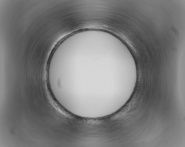 X0000110880848200906180943