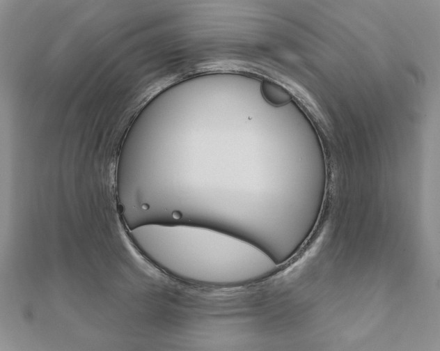 X0000110880849200906180943