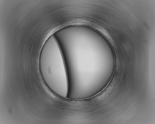 X0000110880850200906180943
