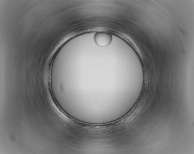 X0000110880851200906180943