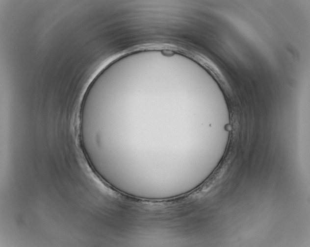 X0000110880852200906180943