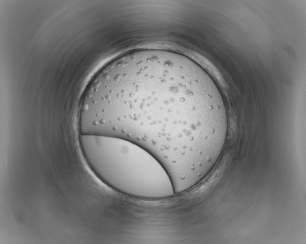 X0000110880855200906180944