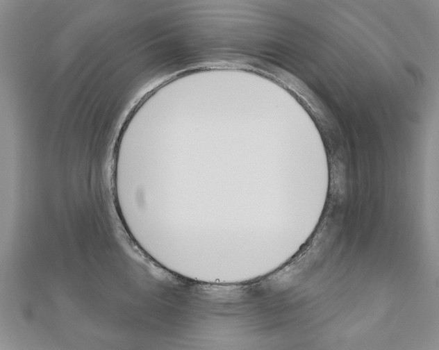 X0000110880856200906180944