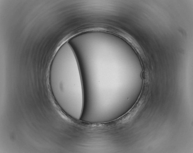 X0000110880858200906180944