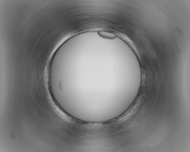 X0000110880859200906180944