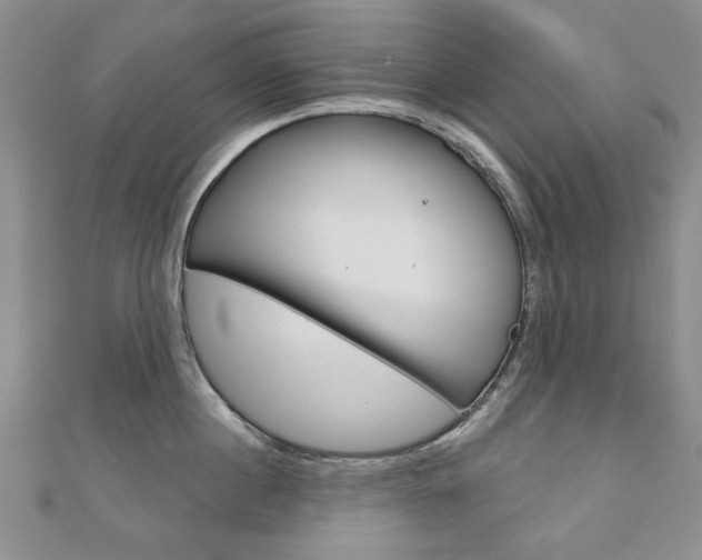X0000110880860200906180944