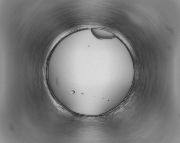 X0000110880861200906180944