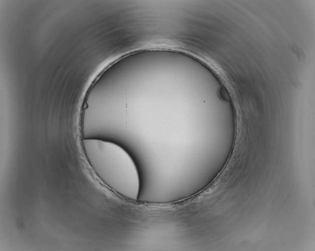 X0000110880864200906180944