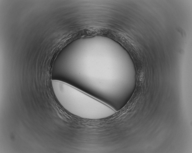 X0000110880868200906180943