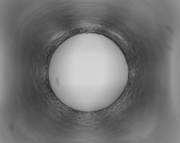 X0000110880869200906180943